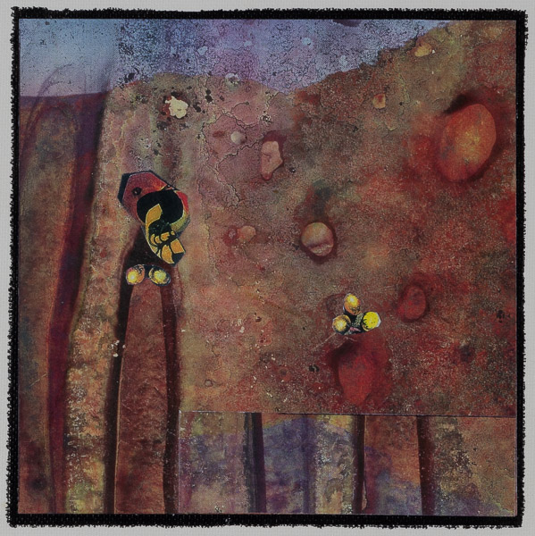 MUSINGS # 20